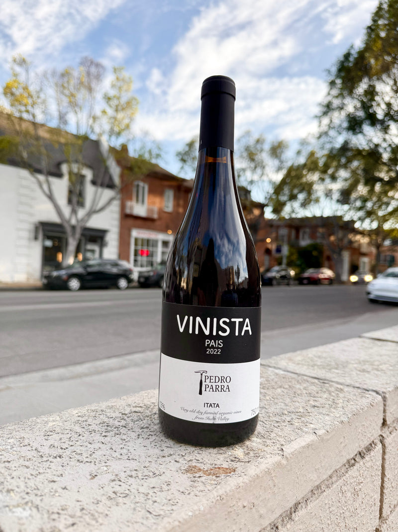 Pedro Parra “Vinista” Pais, Itata Valley Chile