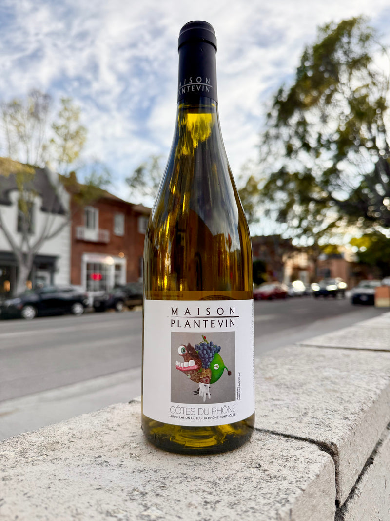 Maison Plantevin Cotes du Rhone Blanc (A Little Funky!)