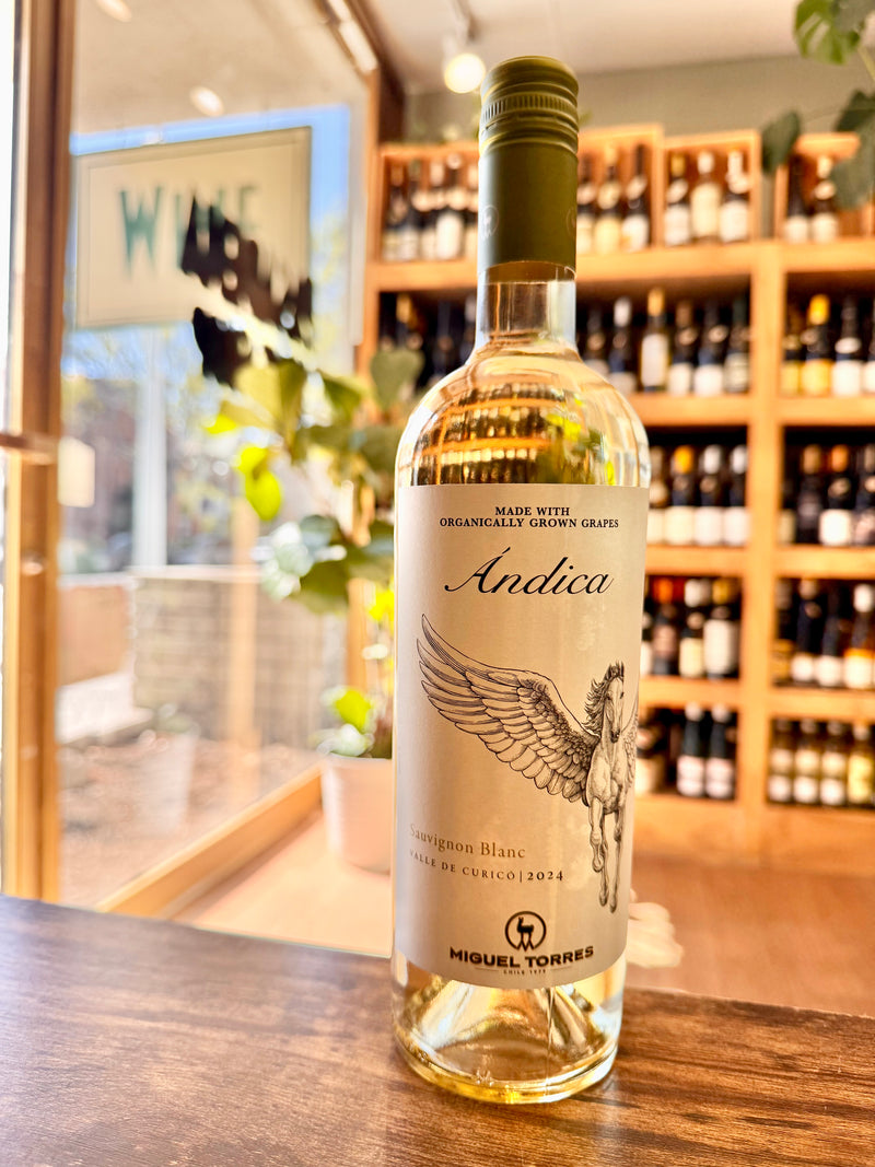 Andica Sauvignon Blanc, Valle de Curico Chile *HOUSE FAVE*